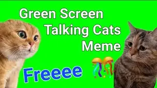 Talking Cats Meme Green Screen | Talking Cats Meme Chroma Key Template | Green Screen | VFX BY ME