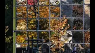 Как учиться духовной жизни из книг?