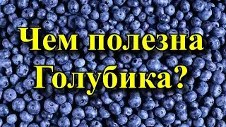 Чем полезна голубика? - Ягода голубика очень полезна и вот чем.