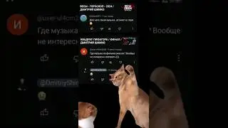 Противоречия...