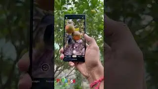 Google pixel 6A camera and OLED display🔥😍 