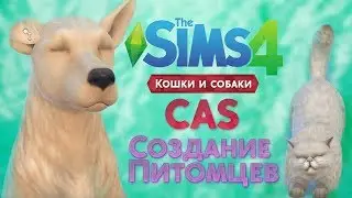 😺СОЗДАНИЕ ПИТОМЦЕВ | СИМС 4 КОШКИ И СОБАКИ | ОБЗОР! CAS - CAP