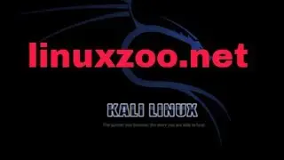 How to run kali linux online without installation