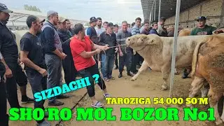 SHO‘RO MOL BOZOR TAROZIGA BUQALAR NARXLARI BN TANISHING. BIZDA 54.000 SIZDACHI QANCHA TORTILDI?