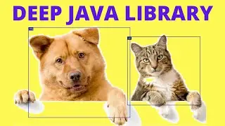 DEEP JAVA LIBRARY EXPLAIN | AMAZON | EXAMPLE JAVA CODE DOG CAT | DEEP LEARNING CODE | InterviewDOT