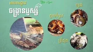 ក្តាមស្រែ ខ្យង ត្រីដុត ម្ហូបខ្មែរបែបធម្មជាតិស្រស់ៗ នៅអាហារដ្ឋានចង្ក្រានប្ញស្សីរមណីយដ្ឋានរាជិនីលង្វែក