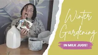 I Love Milk Jugs to Jumpstart My Spring Garden