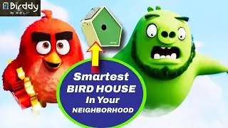 The Smartest Bird House in your Neighborhood! - Birddy Smart Bird House