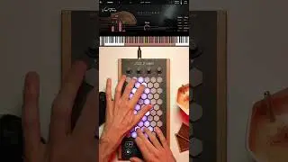 Exquis - Decent Sampler @decentsamples "Volitions" from @VenusTheory #midi #plugin #mpe #vst #viola
