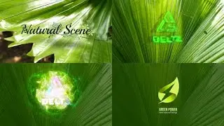 After Effects Template: Nature Logo Reveal