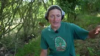 Permaculture self-sufficient farming in Hungary / Önellátó permakultúra a nagyszékelyi Füvészkertben