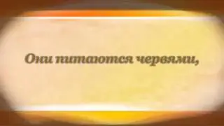 Мои Враги. Константин Бальмонт
