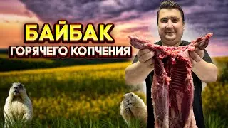 БАЙБАК ГОРЯЧЕГО КОПЧЕНИЯ. КАК ПРАВИЛЬНО ЗАСОЛИТЬ ДИКОЕ МЯСО.