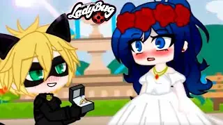 Супер КОТ сделал ПРЕДЛОЖЕНИЕ Маринет 🐞 Super cat proposed to Marinette