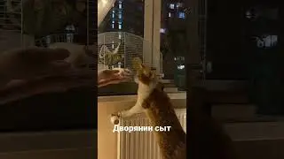 Когда сыт и крыса друг)))