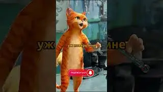 На осмотре у ветеринара 😂