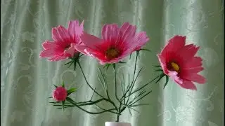 КОСМЕЯ ИЗ ХОЛОДНОГО ФАРФОРА  (COSMOS)