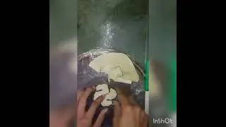 Make a python logo in kitchen using flour | 🤯 python logo