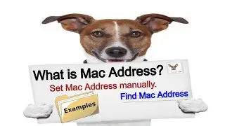 MAC ADDRESS | What is MAC Address | How to Find MAC Address | MAC address cmd | MAC addressing