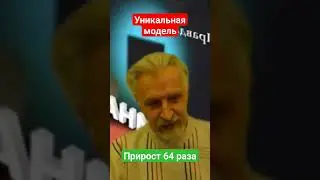 #история