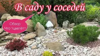 У соседей. ОБЗОР .Что цветет? Удачные сочетания в цветниках. Яркие растения и кустарники для фона.