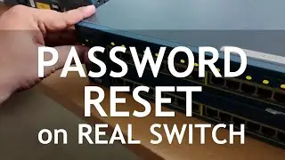 How to Reset a Forgotten Password on a Real Switch | Step-by-Step Guide
