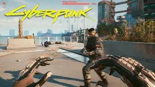 Cyberpunk 2077 Gorilla Arms Street Brawler Build