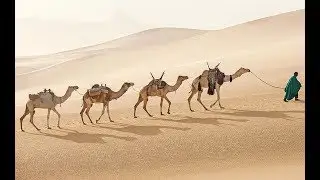 5 часть Благодать Пророка ﷺ в детстве