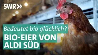 Bioeier von ALDI Süd: Die Lüge von glücklichen Hühnern | Marktcheck SWR