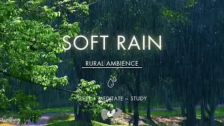 Soft Rain On Ground | NO ADS | Soothing Rain Sounds For Sleeping