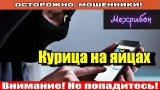 Мошенники звонят по телефону / Доступ к госуслугам.