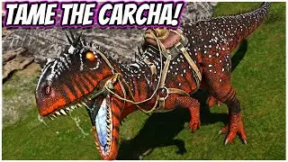 How To Tame The CARCHARODONTOSAURUS And It's Abilities!!