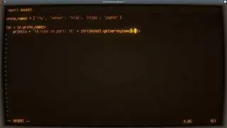 Python ASMR - Protocol to Port Number Conversion - No Talking