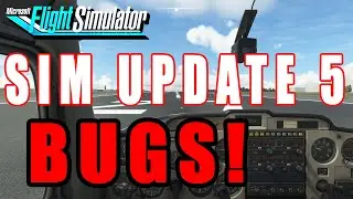 MSFS Sim Update 5 --- BUGS! And some workarounds to improve visuals...
