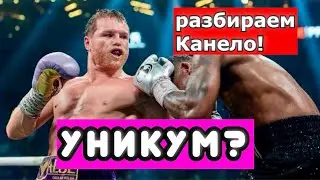 Канело - УНИКУМ ИЛИ НЕТ? РАЗБИРАЕМ ГЛАВНУЮ ЗВЕЗДУ СОВРЕМЕННОГО БОКСА. САУЛЬ АЛЬВАРЕС. 