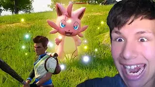 The 