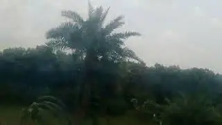Natural View From Maitree Express