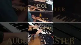 Piyano deyince Kuğu Müzik. Fazioli, Steingraeber, August Förster, Wilh. Steinberg ve diğerleri