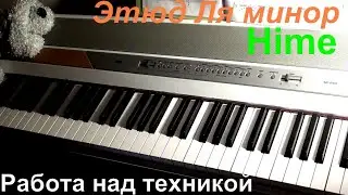 Работа над Фортепианной техникой. Суровые будни пианиста.