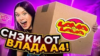 снэки от ВЛАДА А4!