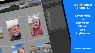 Live Lightroom Support - Keywording