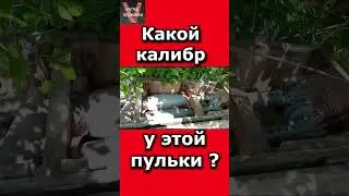 Какой калибр у этой пульки ?#shorts