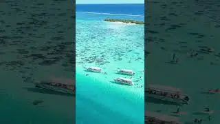 It’s a bluuuetiful world 🤗✨🌏✨💙 #drone #nature #beautiful #inspiring #beach #motivational #moorea