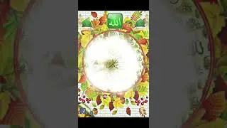 Aisa Aaqa ho to lazim hai #viral #reels #naat #islamicstatus #whatsappstatus #viral #love #daily