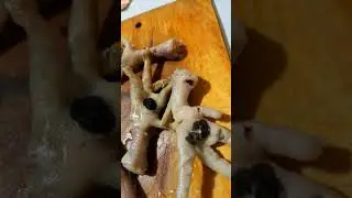 что это