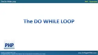 31023 - The Do While Loop