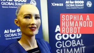 Sophia Humanoid Robot | Given citizenship of Saudi Arabia |Advises to ignore Elon Musk 's AI Warning