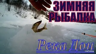 Зимняя рыбалка на реке Дон.