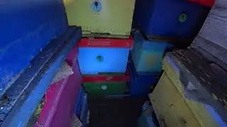 ЧЕМ СЕЙЧАС ЗАНЯТЫ ПЧЕЛОВОДЫ ЗИМОЙ, ЧТО ДЕЛАЮТ, КАК ЗИМУЮТ ПЧЁЛЫ, вернули КАНАЛ
