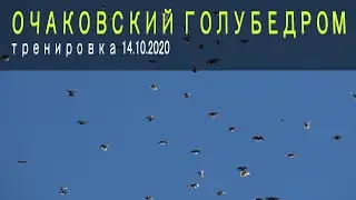 ОГ сезон 2020. Тренировка 14.10.2020